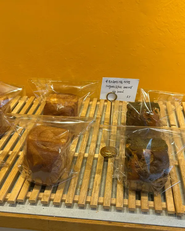 희소 사진 2