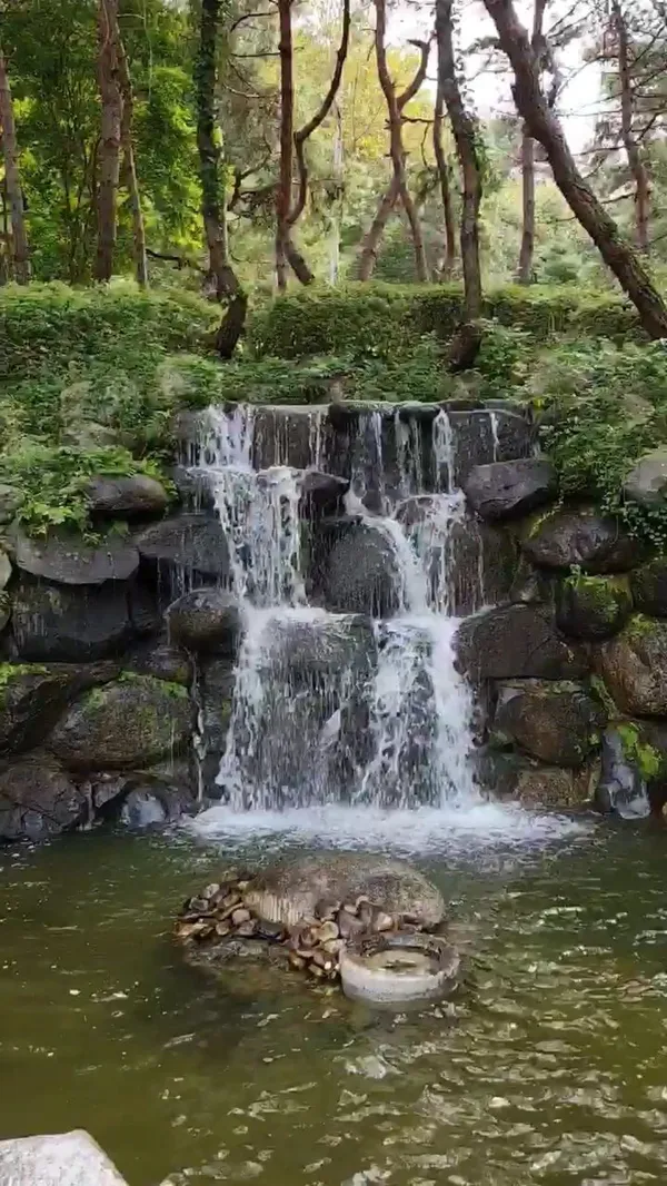미동산수목원 사진 4