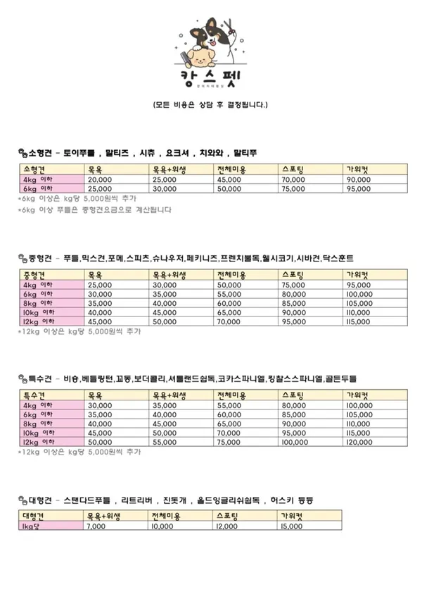 캉스펫 사진 5