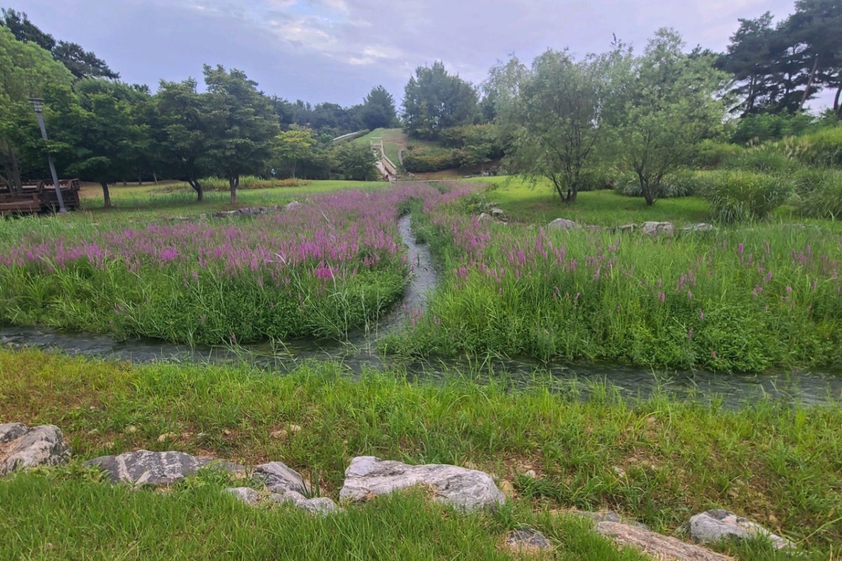 파주 가볼만한 곳 19곳