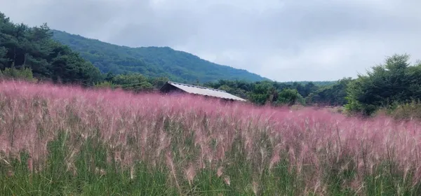 송정원식당 사진 5