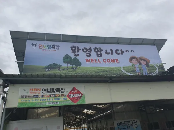 연보람목장 사진 2