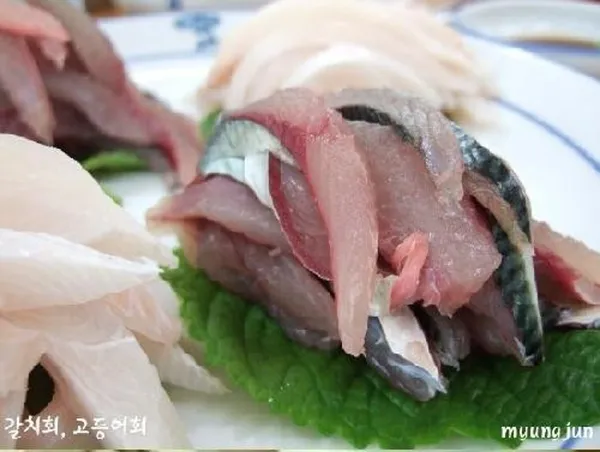 물항식당 탑동점 사진 2