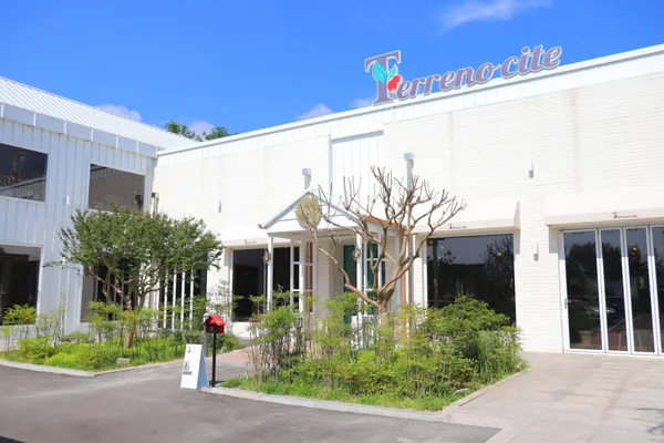 ッテレノシッテ スペシャルジョムの写真3