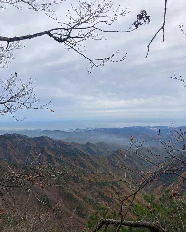 덕항산 사진 3