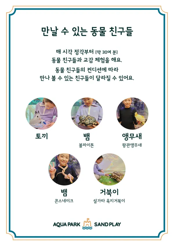 아쿠아파크&샌드플레이 사진 4