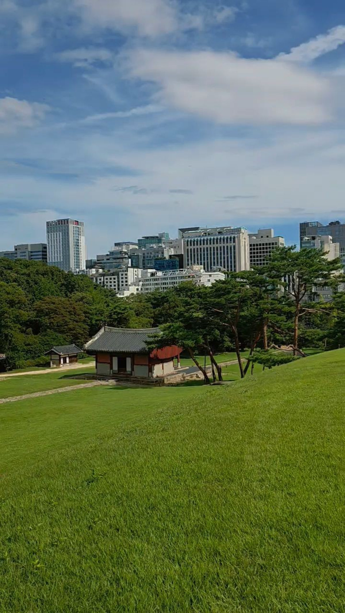 선정릉 사진 5