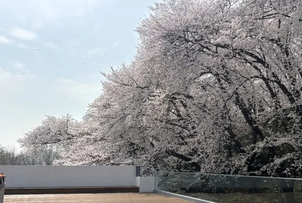 대전테미문학관 사진 2