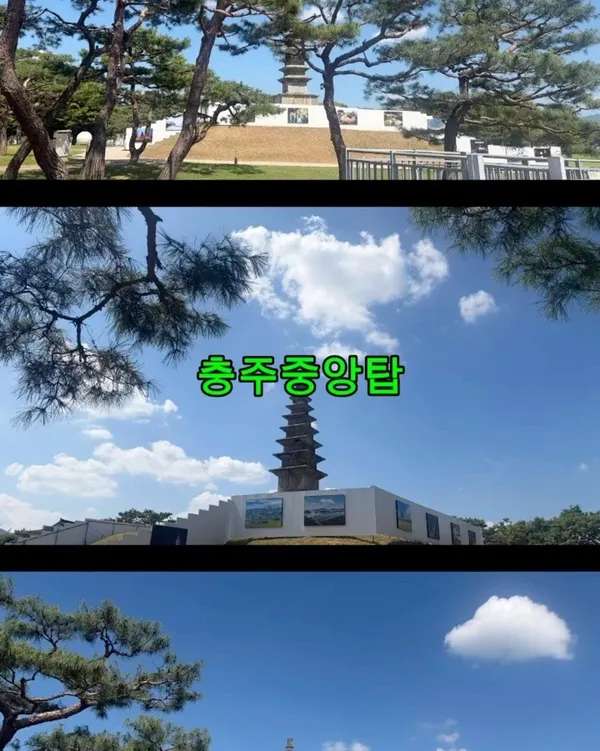 충주탑평리칠층석탑 사진 5
