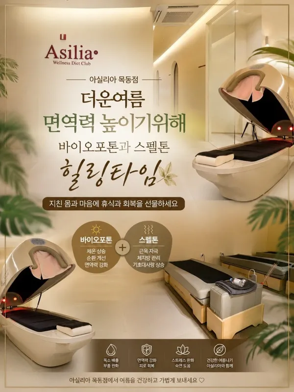 아실리아 목동점 사진 4