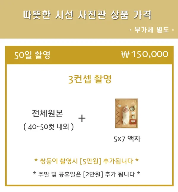 따뜻한 시선 사진관 사진 2