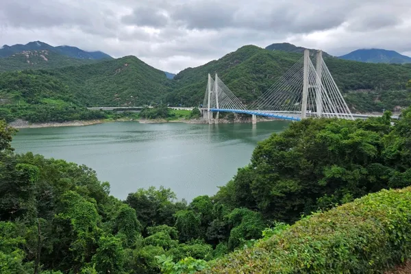 충주호 사진 2