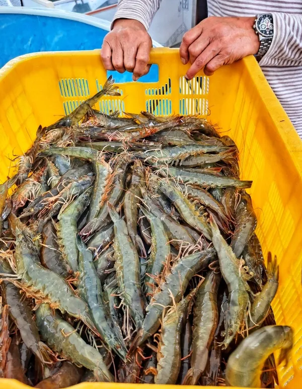 대하수산 외식공간 사진 3