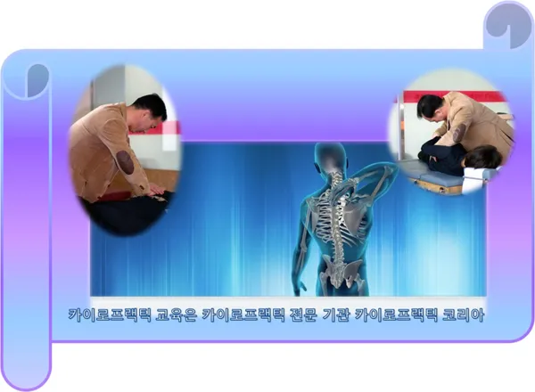카이로프랙틱코리아 사진 4