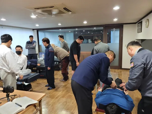 Chiropractic Korea