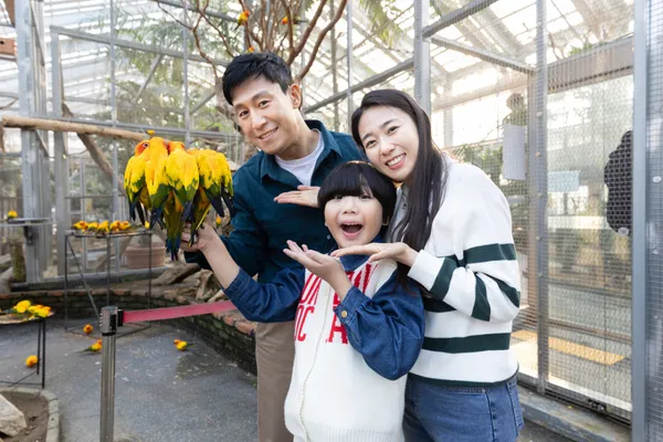 가평베고니아새정원 사진 3