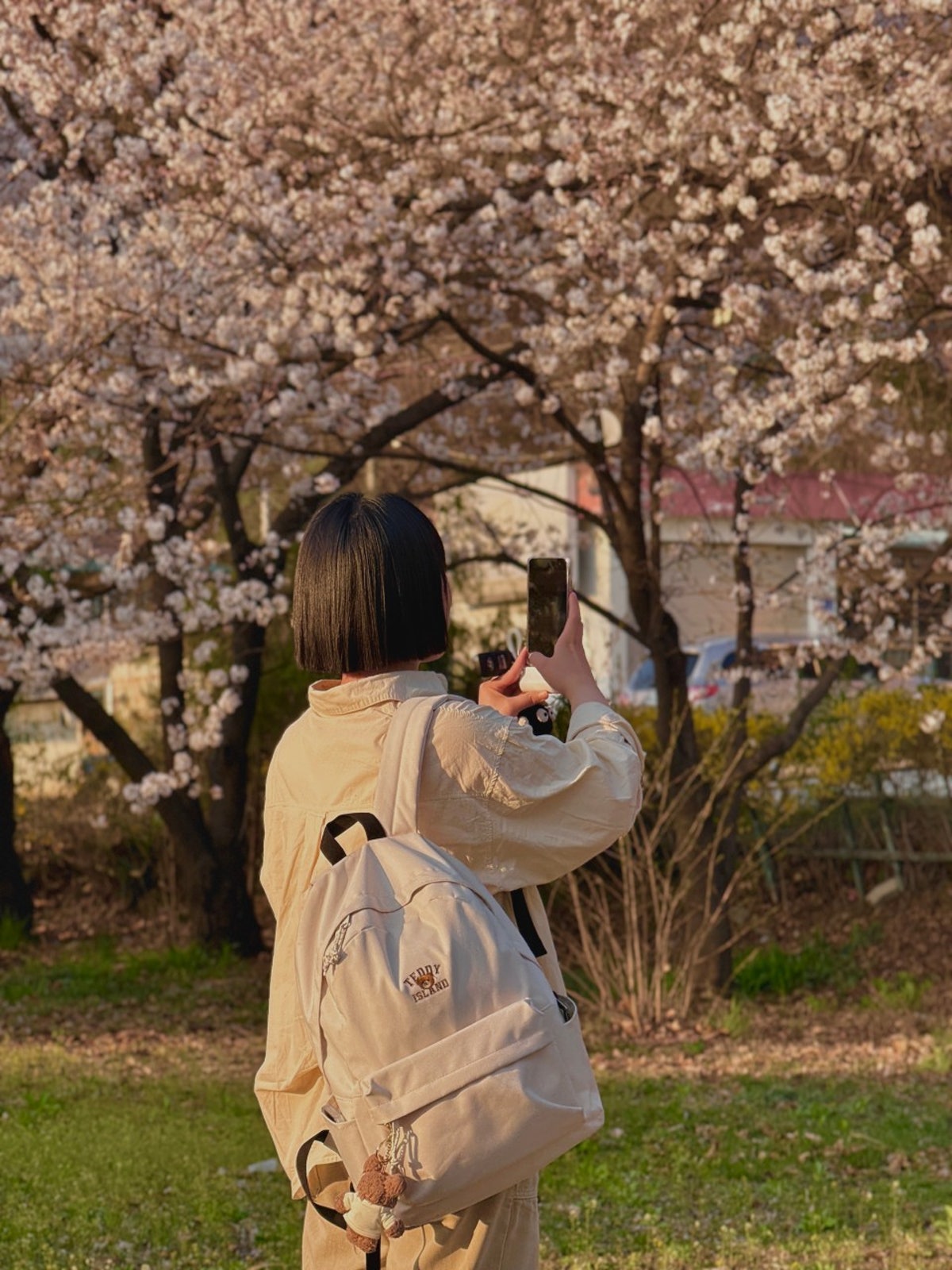 산모롱이 사진 5