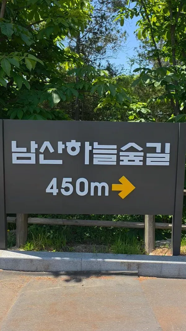남산하늘숲길 사진 5