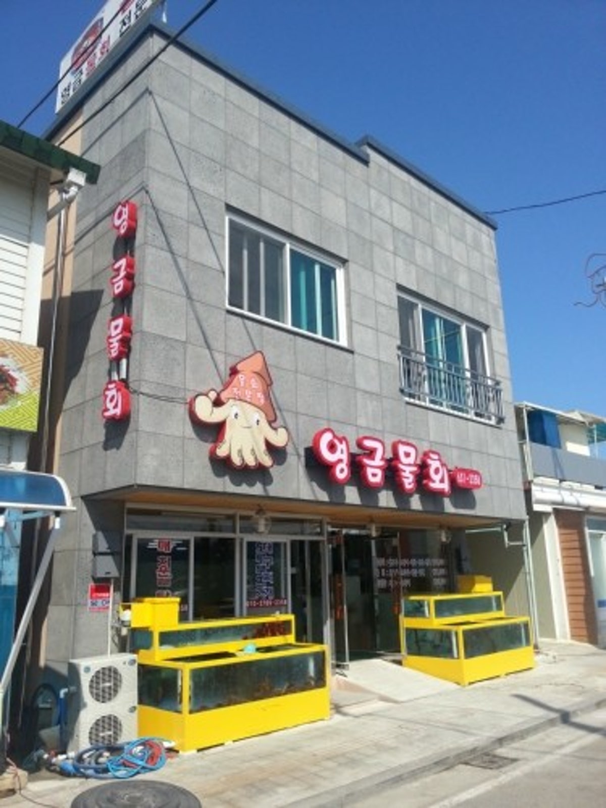 영금물회 사진 4