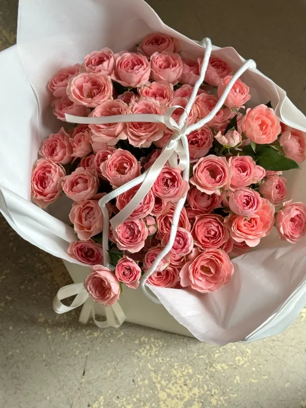 피우고 사진 4