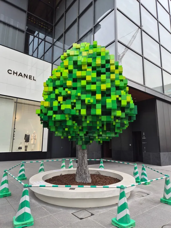 チンミダッカルビ 本店の写真3