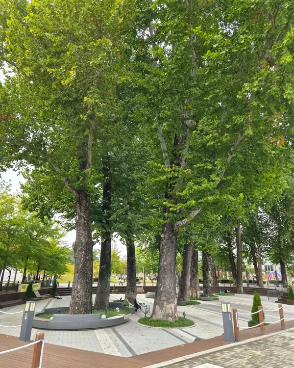 충주탄금공원 사진 2