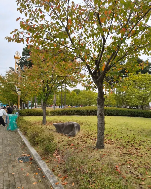 충주탄금공원 사진 5