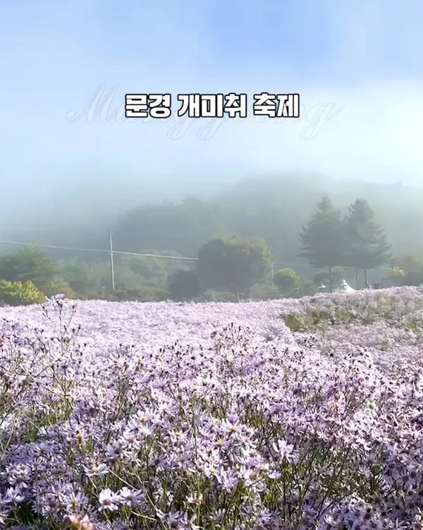 문희농원 사진 5