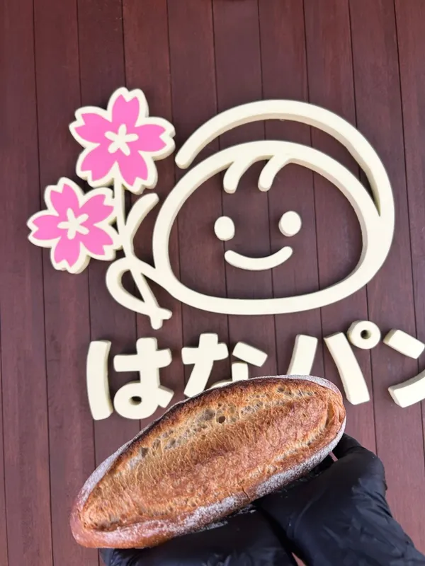 하나팡 사진 5