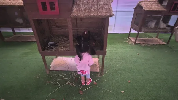 Korea Flower Park, photo 5