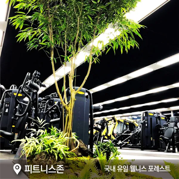 Center One Wellness Euljiro