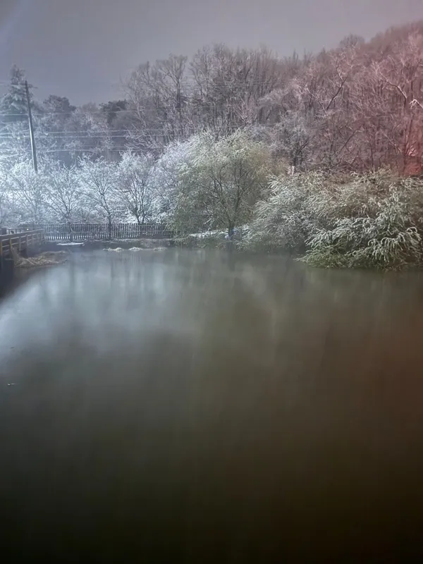 하마캠핑장 사진 2