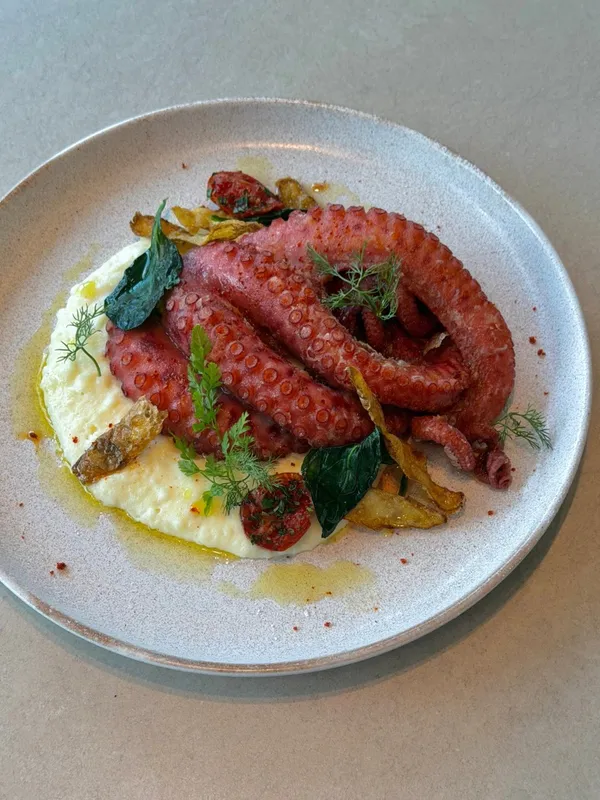 시즈너 사진 2