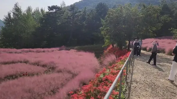 꽃객프로젝트 사진 3
