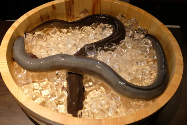 장심도 한국본점 사진 5