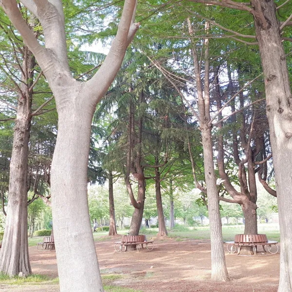 전주덕진공원 사진 3