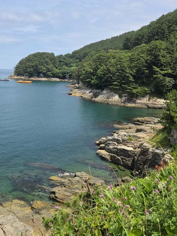 인천나비공원 사진 4
