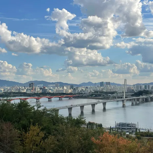 서울억새축제