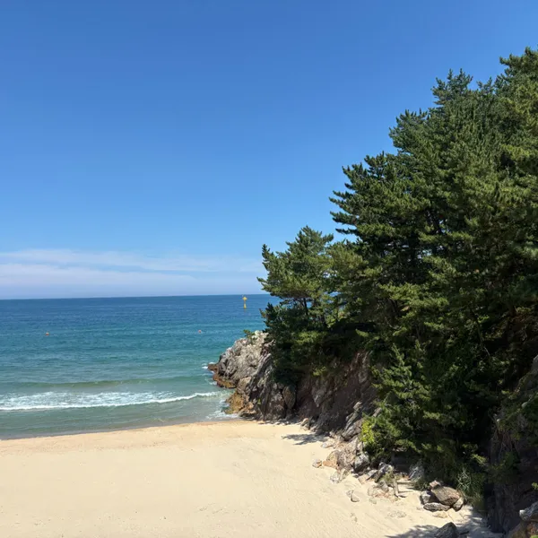증산해수욕장 사진 4
