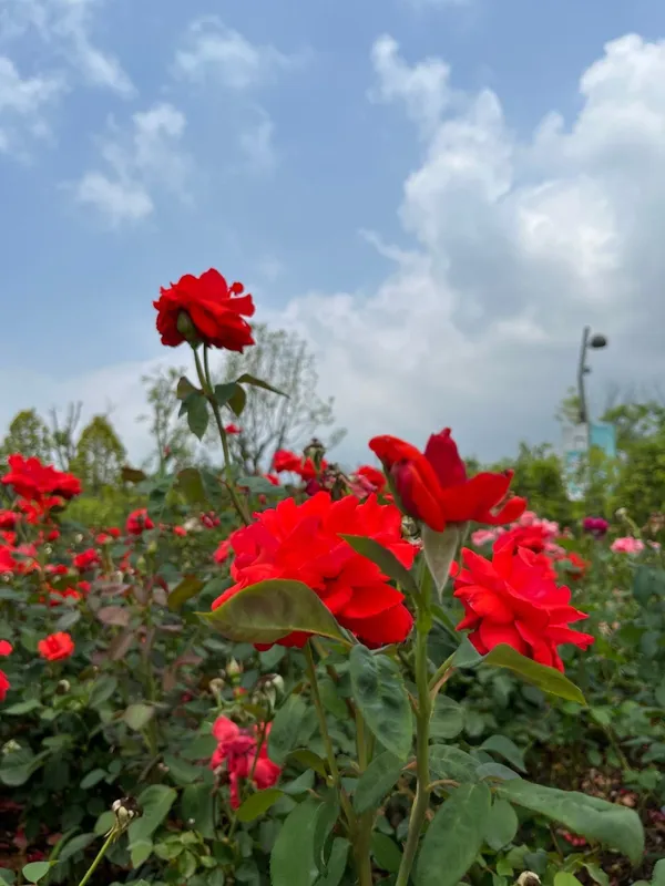 서울식물원 주제원 사진 3