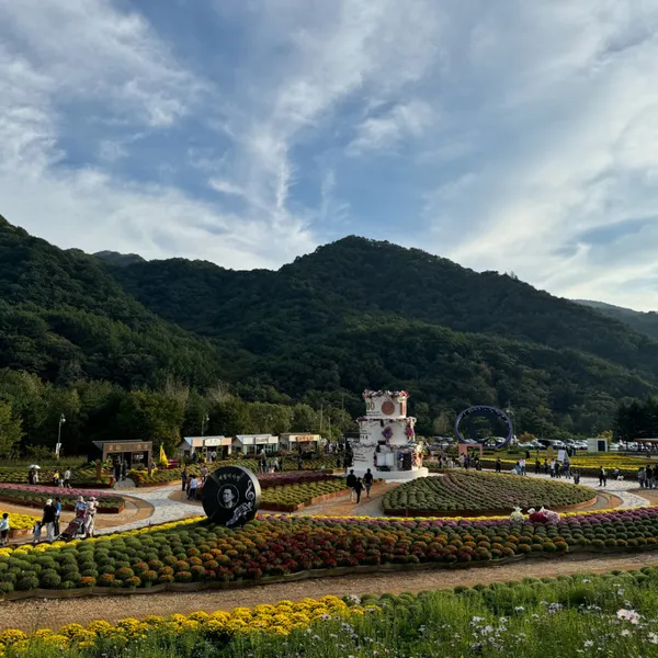 인제가을꽃축제 사진 4