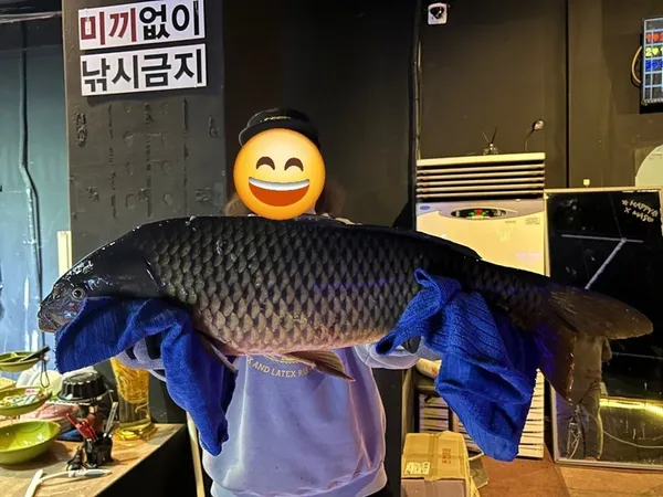 놀이터실내낚시카페 화정역점 사진 4