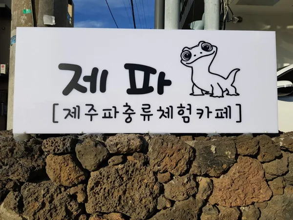 제파 사진 3