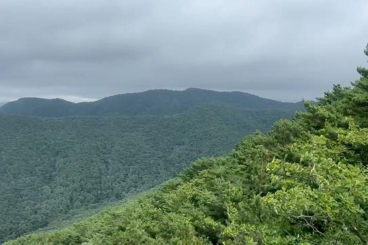 앞산 사진 4
