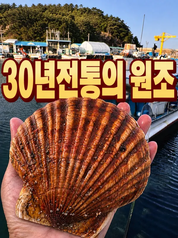 백도수산