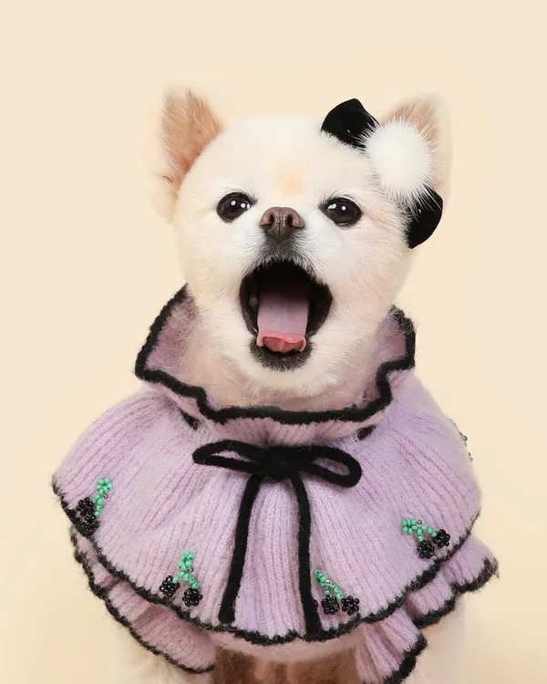 떠블유떠블유 사진 5