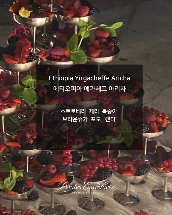 페탈옹트라쎄 플라워카페 사진 3