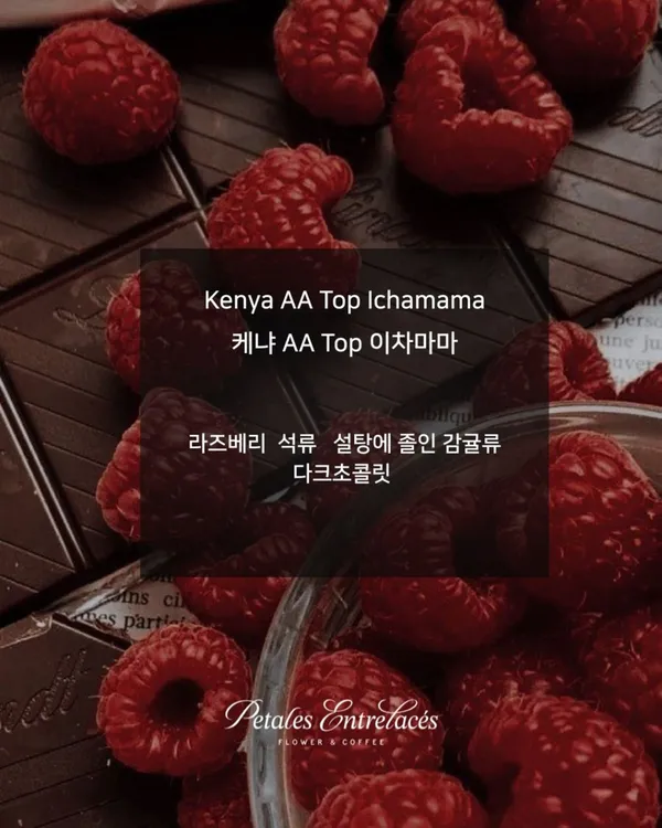 페탈옹트라쎄 플라워카페 사진 5