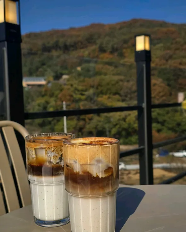 로이사 사진 4