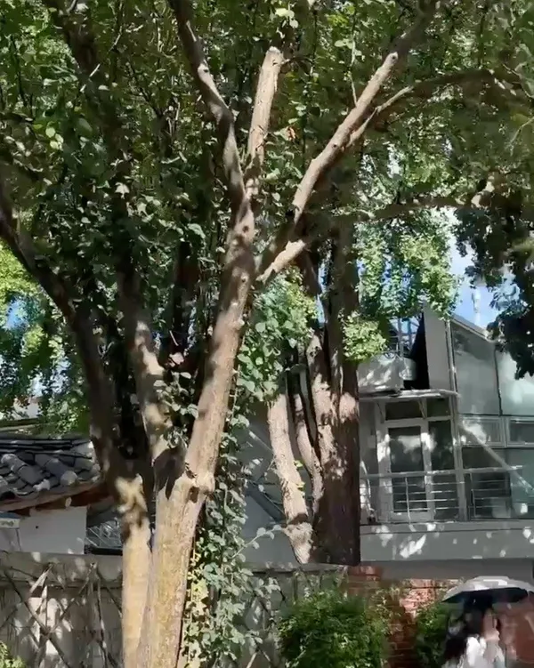 Hong Geon-ik House, photo 5
